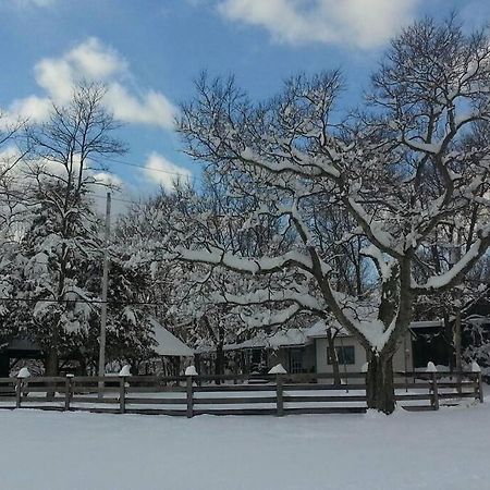 Bourbon Trail Cabin On The Farm Lawrenceburg Ngoại thất bức ảnh