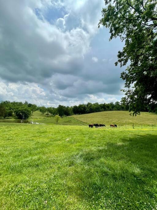 Bourbon Trail Cabin On The Farm Lawrenceburg Ngoại thất bức ảnh
