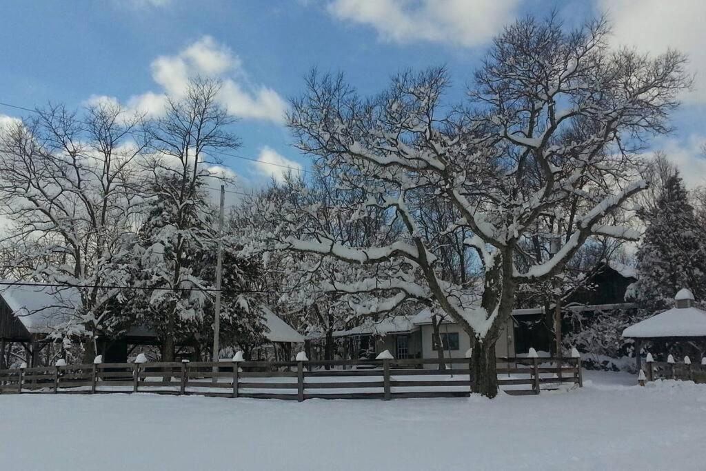 Bourbon Trail Cabin On The Farm Lawrenceburg Ngoại thất bức ảnh